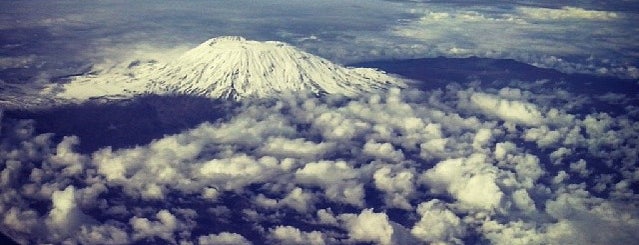 Mt Kilimanjaro is one of Bucket list.