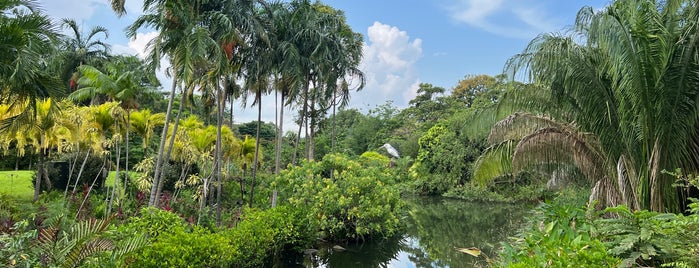 Kingfisher Lake is one of Сингапур.