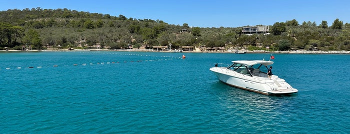 Ilıcak Koyu is one of Bodrum.