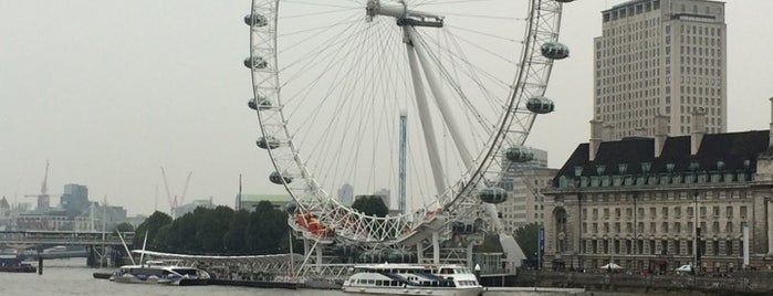 The London Eye is one of London 2014.