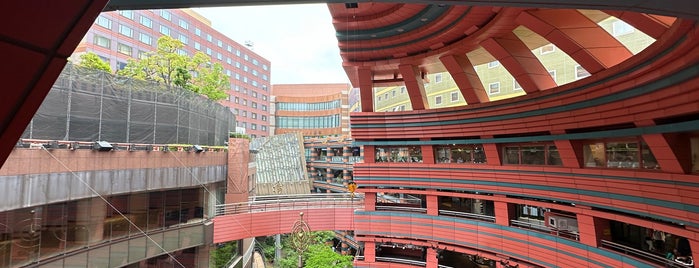 Canal City Hakata is one of Best Shopping.