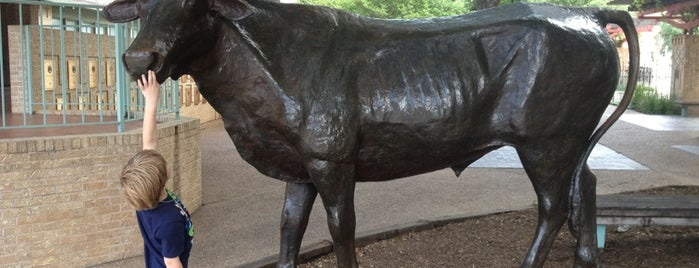 The Texas Longhorn Statue is one of Austin Statuary.