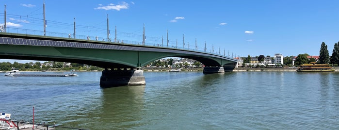 Rheinpromenade an der Kennedybrücke is one of Best of Bonn.