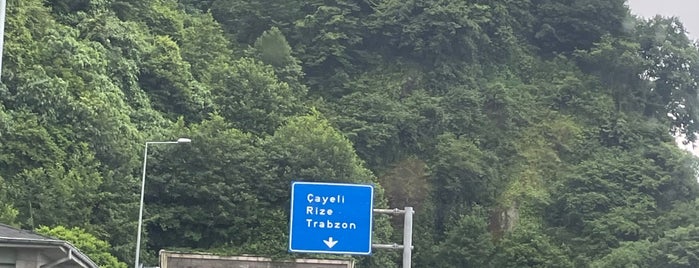 Karadeniz Sahil Yolu is one of Karadeniz Sahil Yolu.