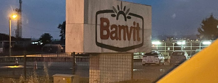 Banvit is one of İş.