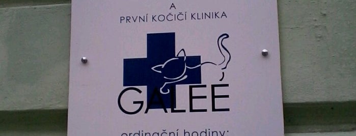 Veterinární klinika Galeé is one of Tempat yang Disukai Pavel.