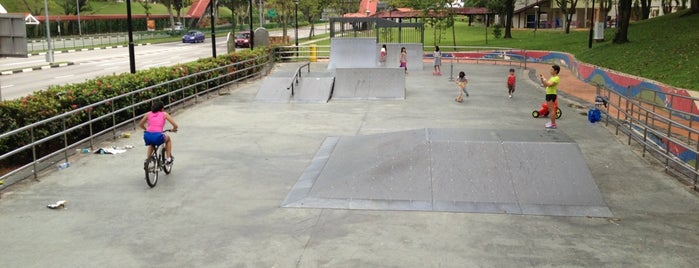 Bishan Skate Park is one of Singapur #2 🌴.