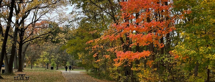 Holliday Park is one of Outdoors Fun.