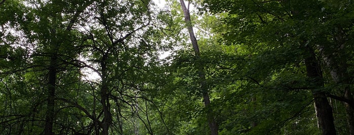 Happy Hollow Park is one of Parks.