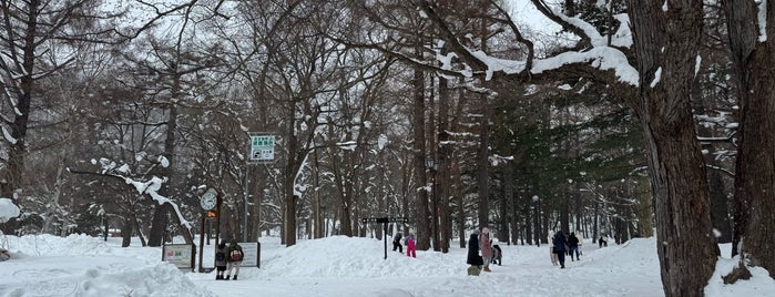 円山公園 is one of norikofさんのお気に入りスポット.