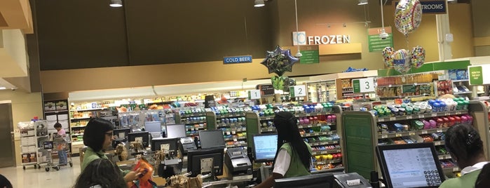 Publix is one of Greg : понравившиеся места.