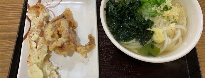 たも屋 潮江店 is one of 高知麺類リスト.