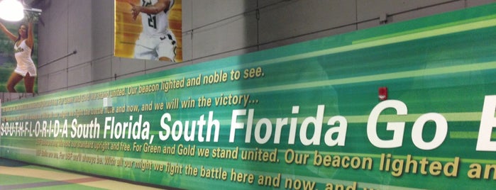 USF Sundome: Green And Gold West is one of Posti che sono piaciuti a Kimmie.