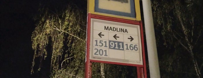 Madlina (bus) is one of Autobusová linka 186 / Bus line 186.