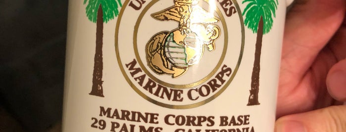 United States Marine Corp Air Ground Combat Center is one of Joshua Tree.