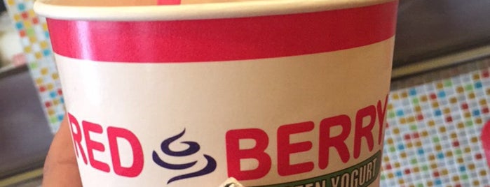 Red Berry Frozen Yogurt is one of Laredo Goodness.