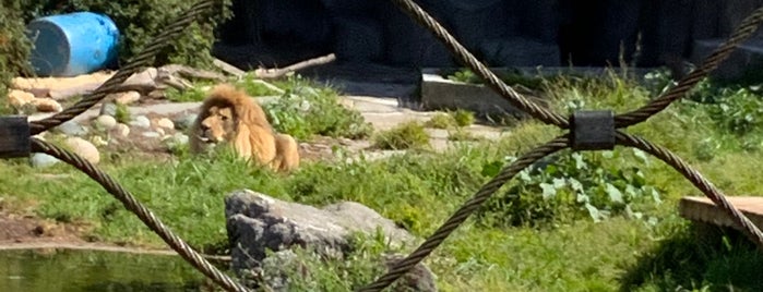 Lion House is one of The 13 Best Zoos in San Francisco.