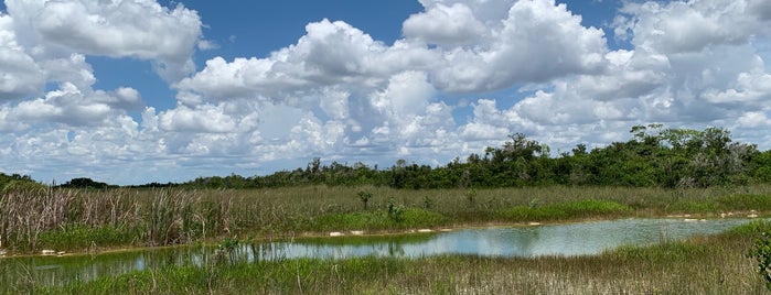 Everglades River of Grass Adventures is one of Orte, die Massimo gefallen.