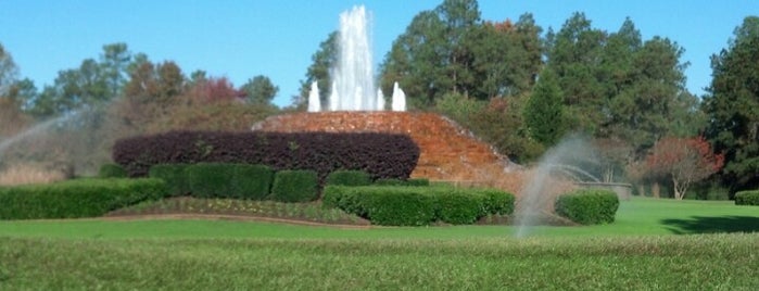 Lake Carolina Fountain is one of Lugares favoritos de Joshua.