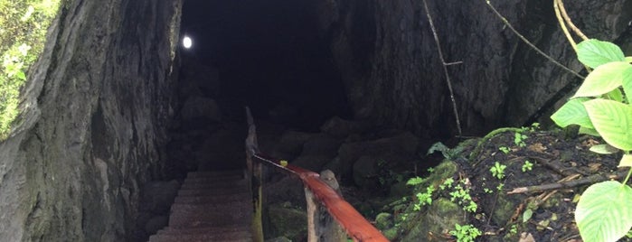 Túneles de Lava is one of Tempat yang Disukai Joel.
