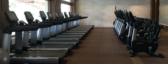 The GYM at the HYATT Regency Cancun is one of Jose antonio’s Liked Places.