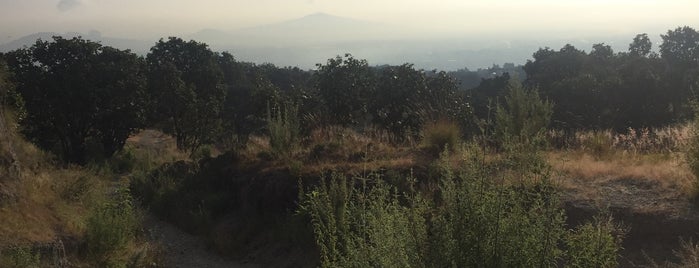 Cerro El Palomar is one of Tempat yang Disukai Jose antonio.