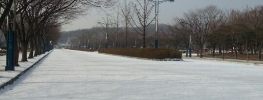 Incheon Grand Park is one of 조만간갈곳.