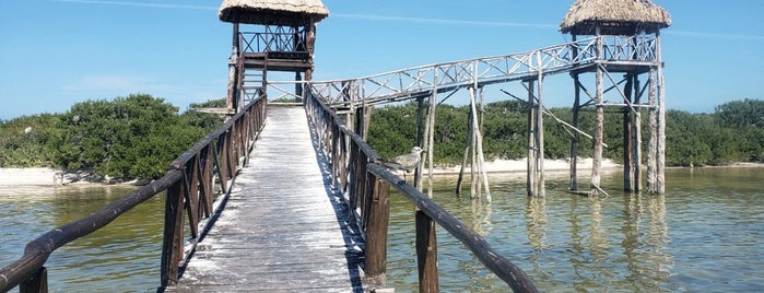 Isla Pajaros is one of Lugares favoritos de Chilango25.