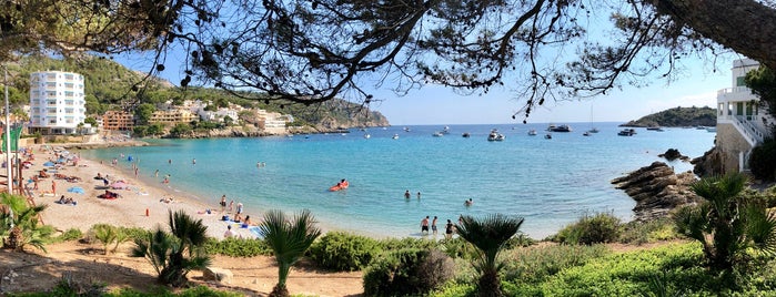 Cala Conills is one of Mallorca.