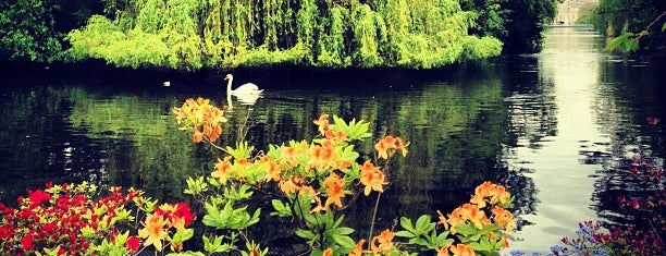 St James's Park Lake is one of London Favorites.