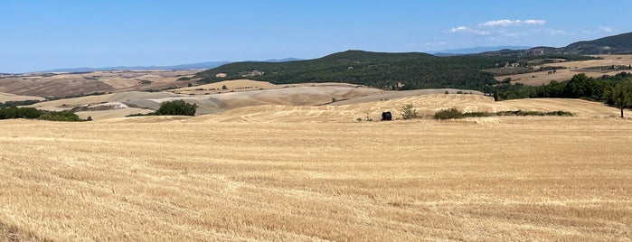 Agriturismo Il Macchione is one of agriturismi.