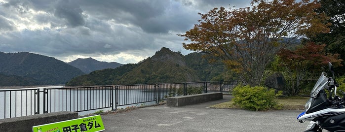 田子倉ダム is one of สถานที่ที่ Minami ถูกใจ.