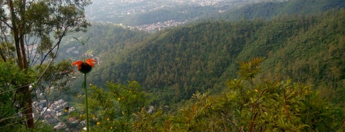 Cerro De Xochitepec is one of AdRiAnUzHkA : понравившиеся места.