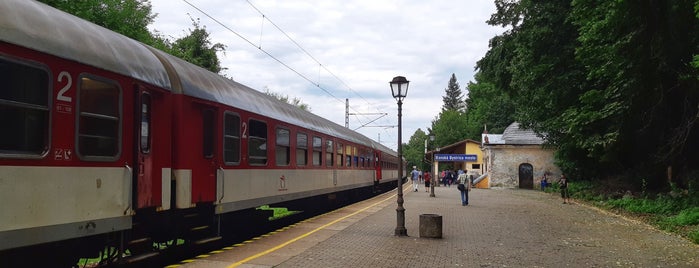 Železničná zastávka Banská Bystrica mesto is one of Trať ŽSR-170.