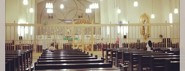 St. Joseph Convent of Perpetual Adoration (Pink Sisters) is one of Diocese of Cubao.