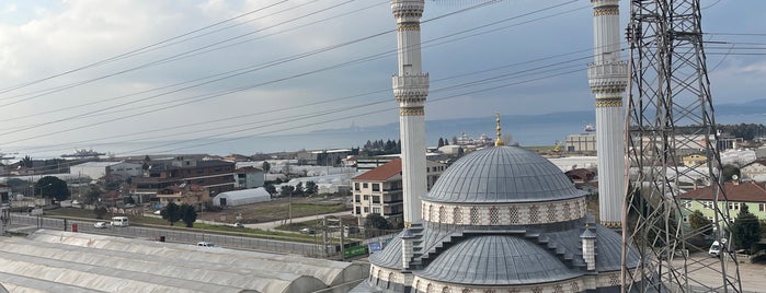 My Terrace is one of Turkey.