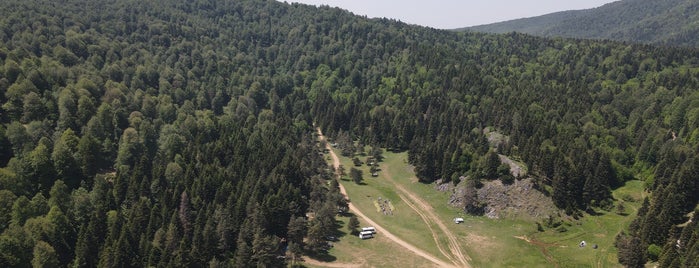 Inonu Yaylasi is one of koru/park.