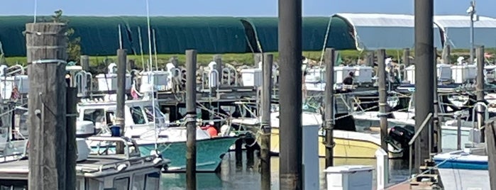 Atlantic Highlands Marina is one of New Jersey Things to Do.