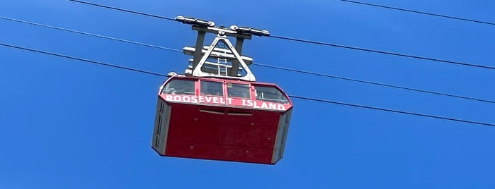 Roosevelt Island Tram (Roosevelt Island Station) is one of USA NYC QNS LIC.