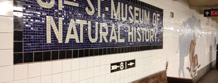 MTA Subway - 81st St/Museum of Natural History (B/C) is one of MTA Arts for Transit.