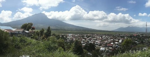 Kebun Teh Kayu Aro is one of check ln sana sini.