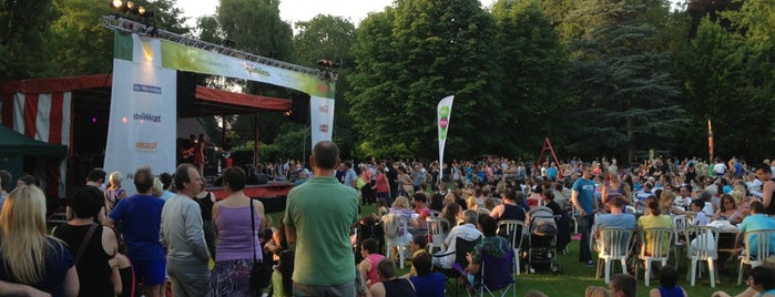 PALM PARKIES is one of Music Venues.