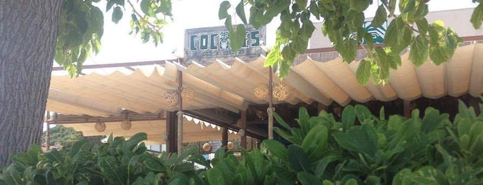 Cocones Cocktail Bar is one of Halkidiki.