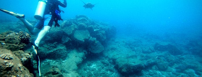 Seasport Divers is one of Kauai.