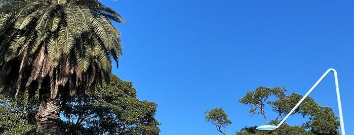 Prince Alfred Park is one of Sydney Places To Visit.