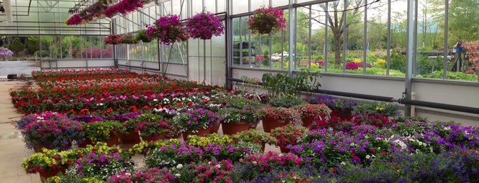 Donaldson's Greenhouse and Nursery is one of สถานที่ที่ Wendy ถูกใจ.