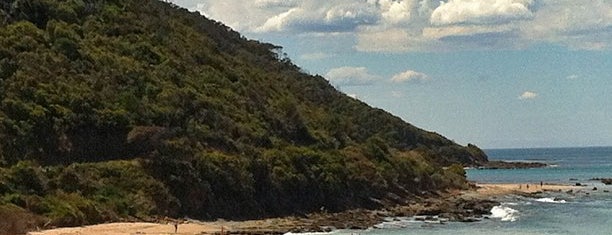 Wye River Beach is one of Victoria Region Australia.
