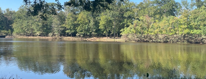 LeFleur's Bluff State Park is one of Deep South and Wild West.