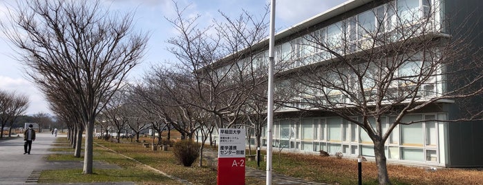 Waseda University is one of 早稲田.