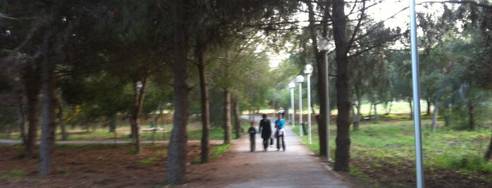 Parc de Sidi Bou Saïd is one of Parcs et jardins de Tunis.
